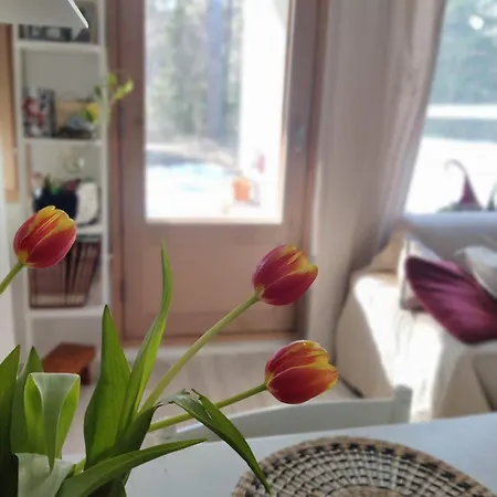 Lapin Lomakoti Yliopiston Laehellae * Rovaniemi