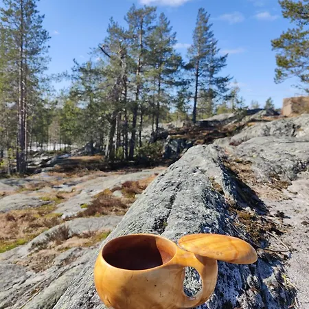 Lapin Lomakoti Yliopiston Laehellae *