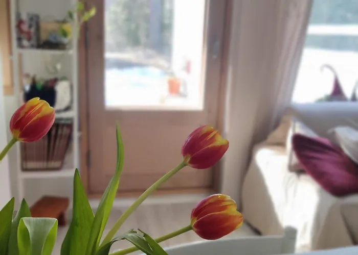 Lapin Lomakoti Yliopiston Laehellae * Рованиеми