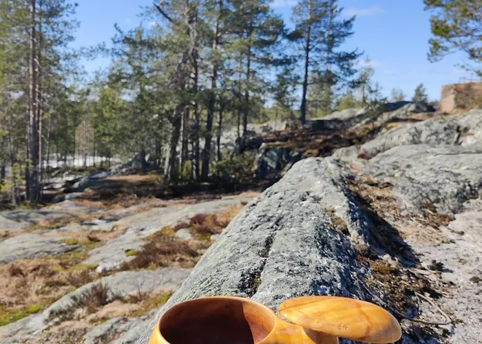 Lapin Lomakoti Yliopiston Laehellae *